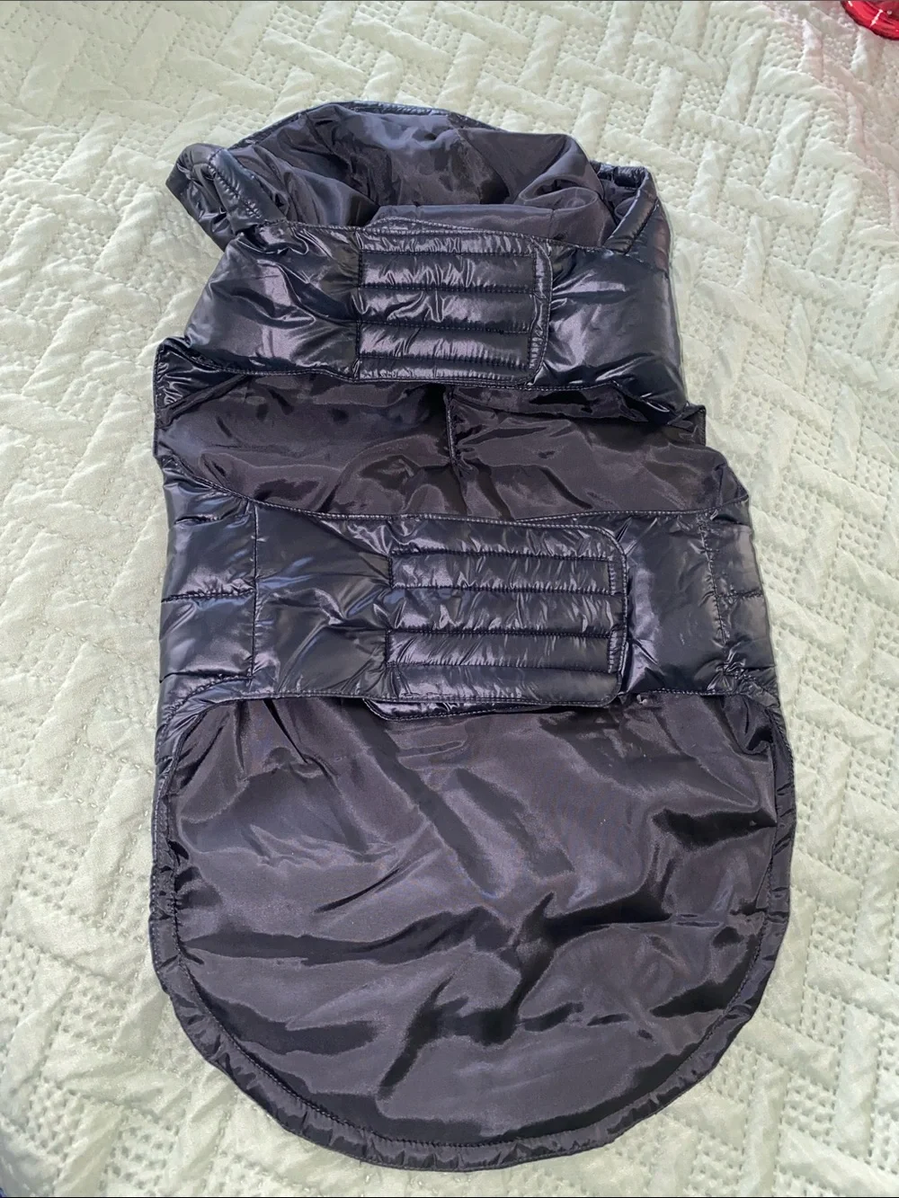 Pet Hooded Puffer Coat — Black